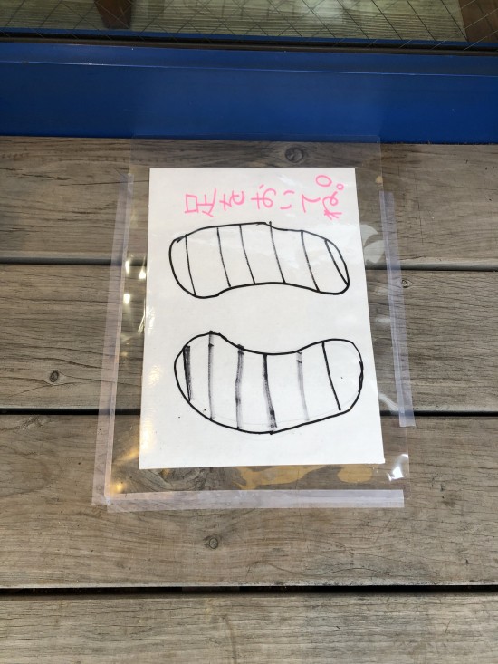 82FA709E-A90B-47A6-AB86-8F4AE4958B50